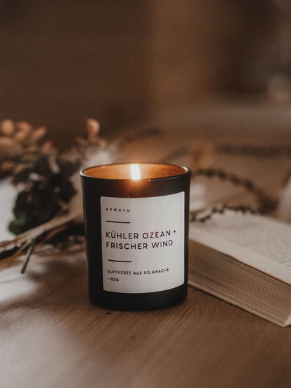brennende Duftkerze Kühler Ozean und Frischer Wind in schwarzem Glas mit Holzdeckel neben einem Buch und Trockenblumen im Hintergrund handgemacht in Deutschland